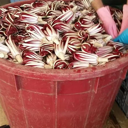 호텔 Da Danilo 몰리아노베네토